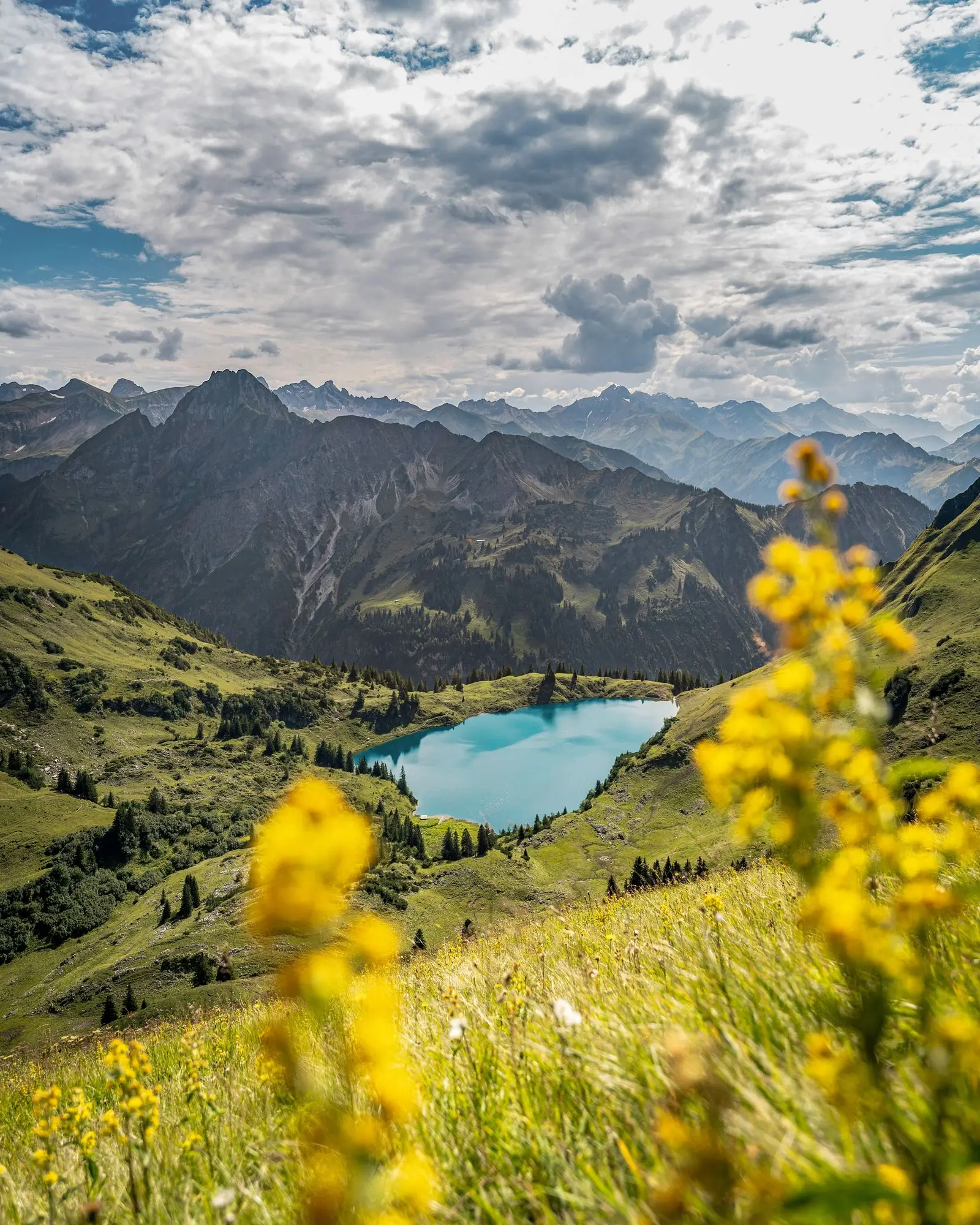 allgaeu seealpsee | Galerie
