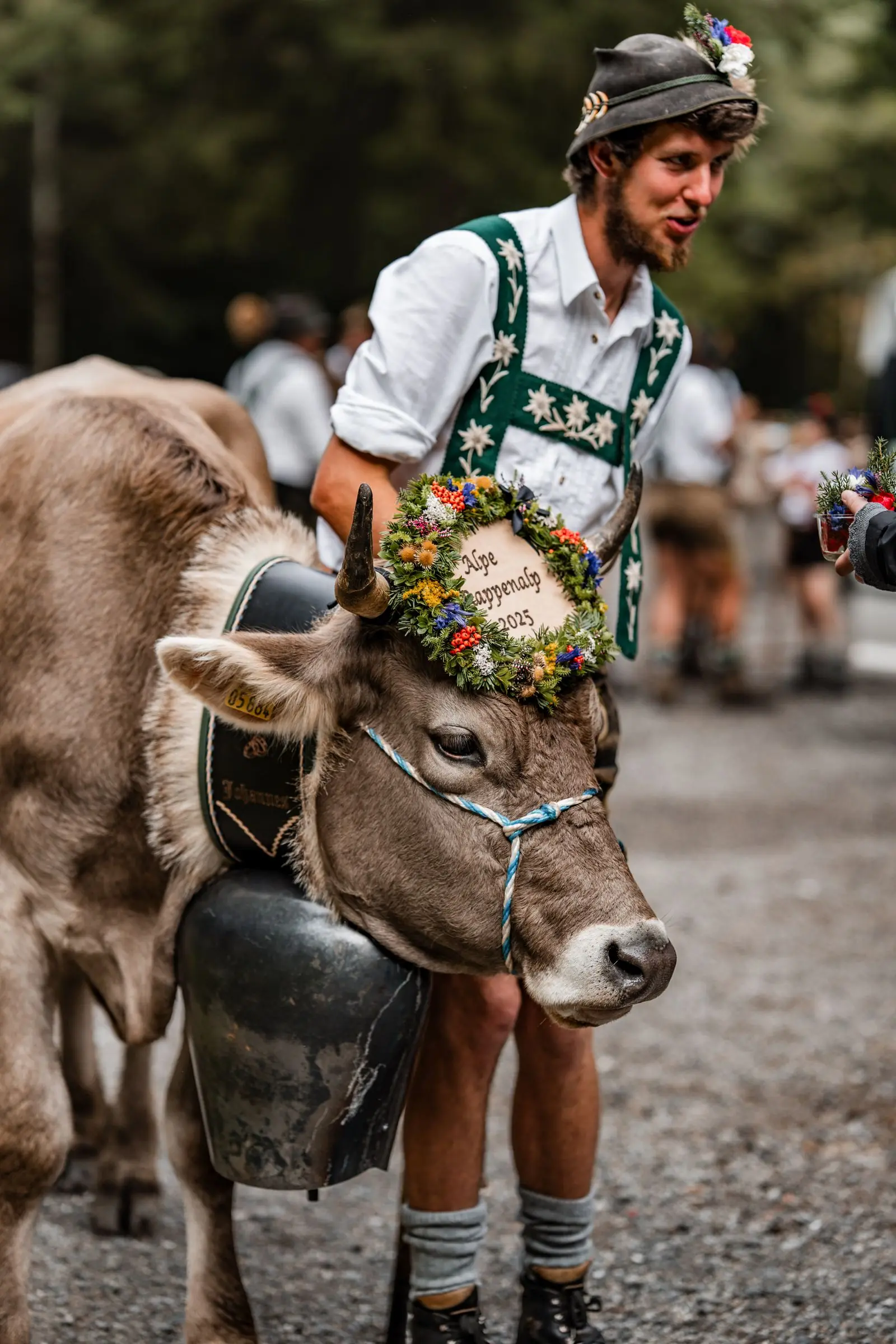 allgaeu viehscheid boy | Galerie Allgäu