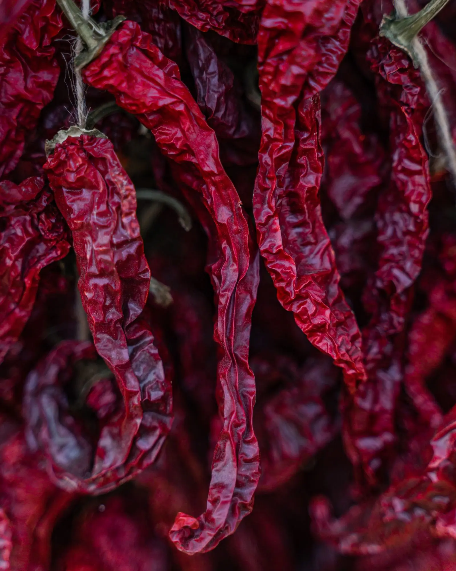 north macedonia peperoni | Galerie Reisen