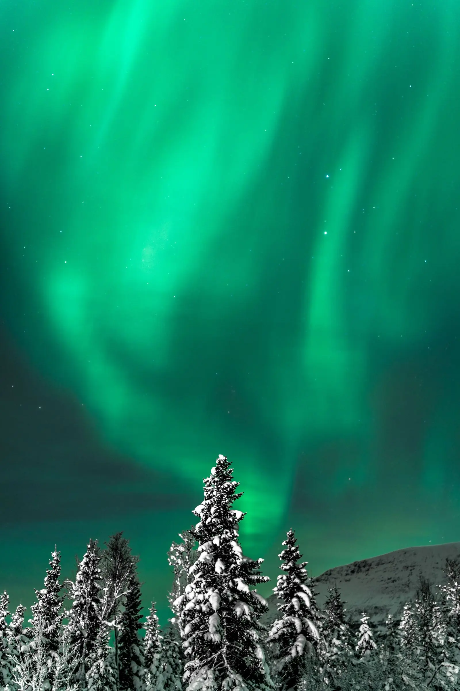 norway northernlights strong | Galerie Reisen