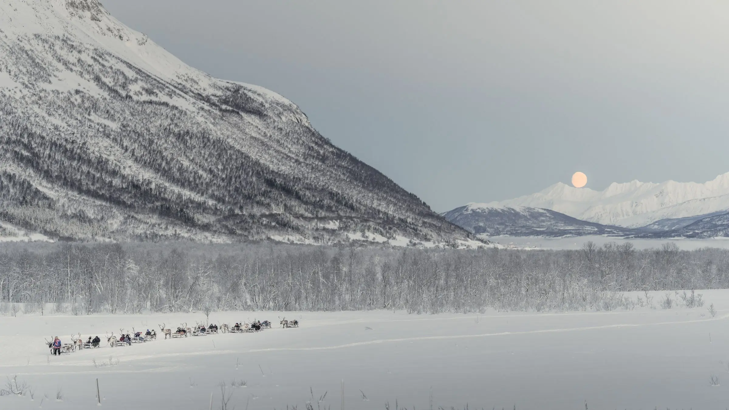 norway sami reindeer sledding | Galerie Reisen