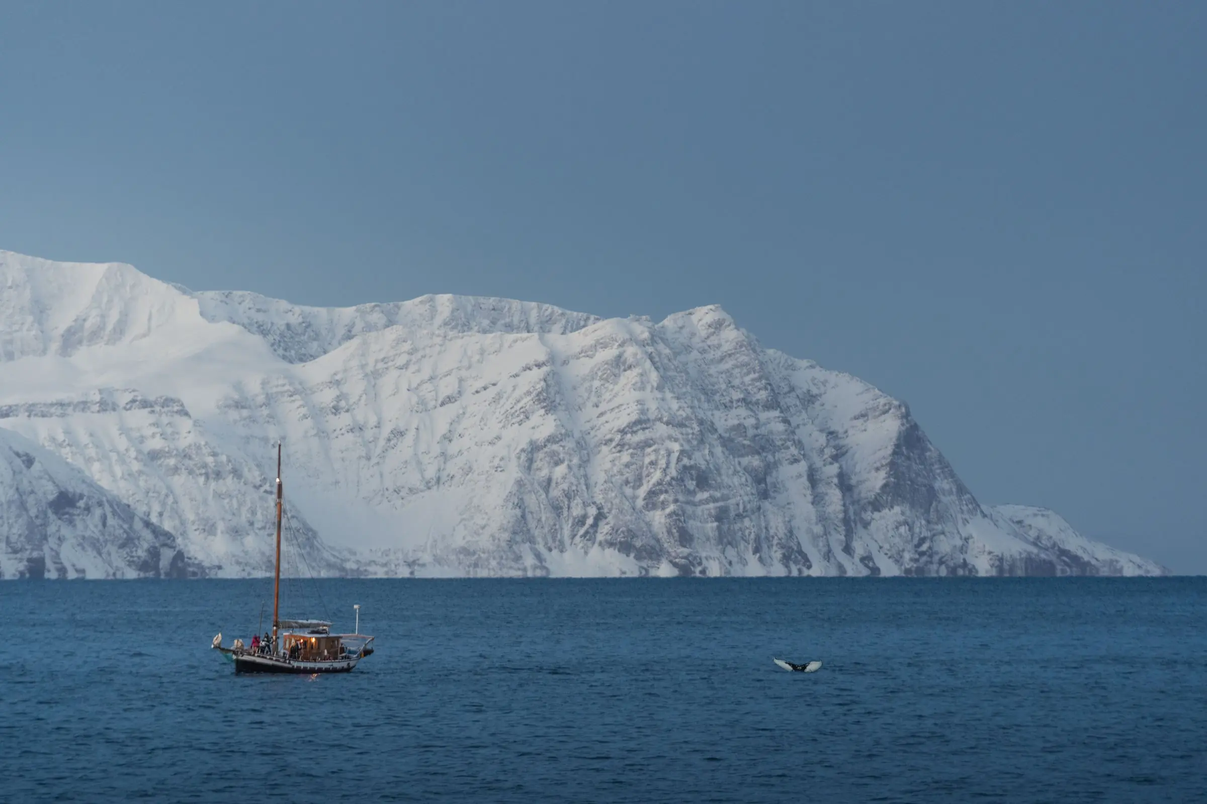 norway whale watching | Galerie Reisen
