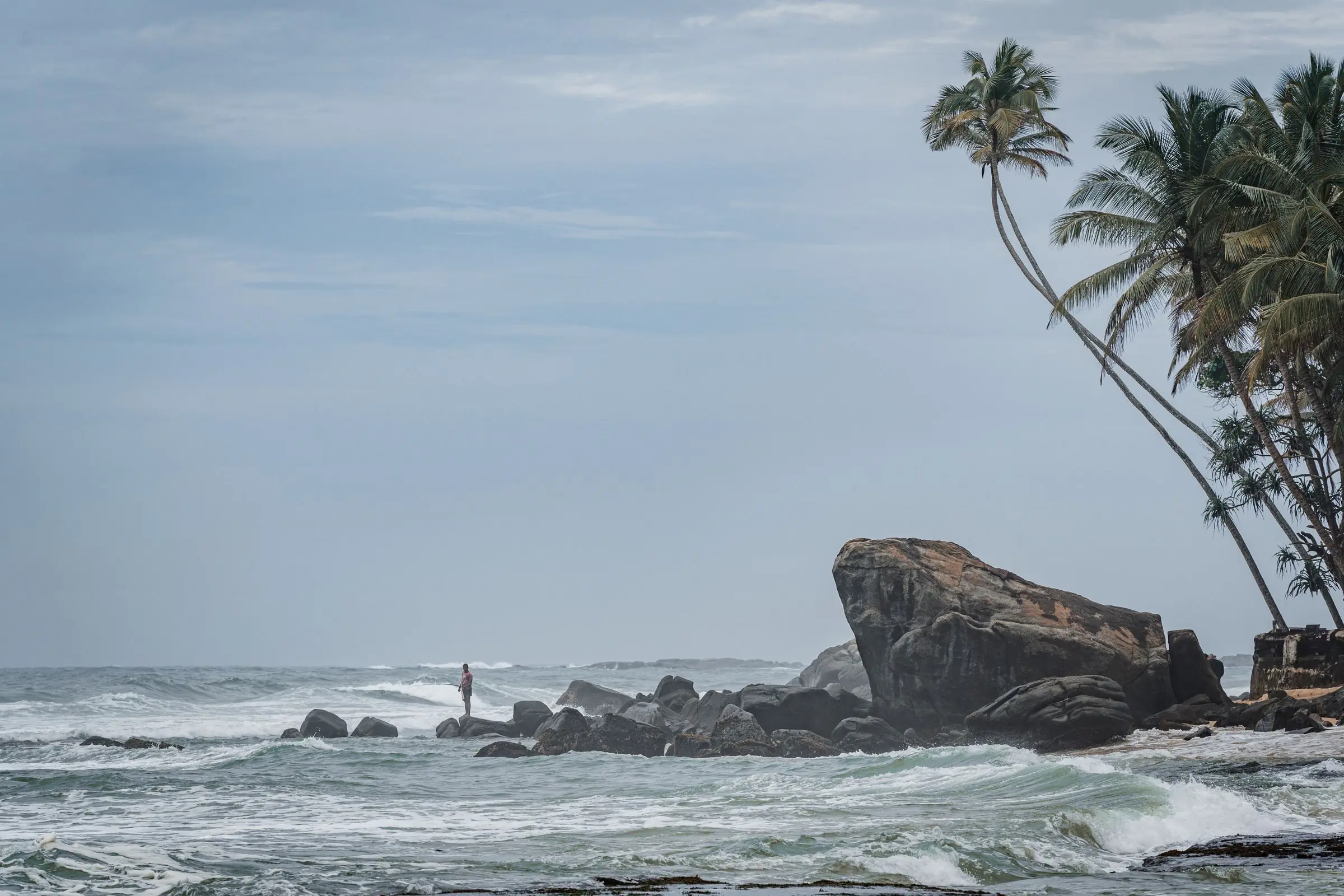 sri lanka beach frog stone | Galerie Reisen