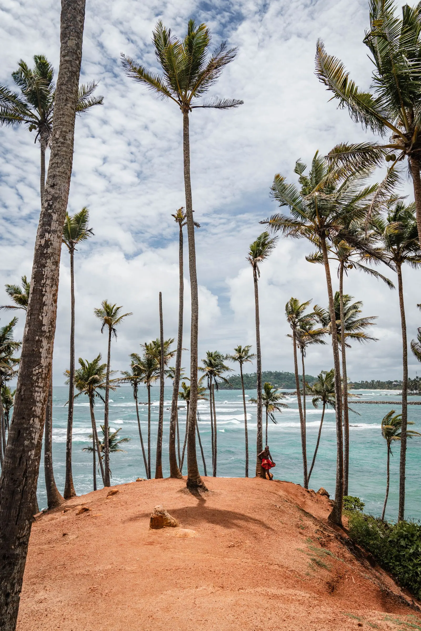 sri lanka coconut tree hill | Galerie Reisen