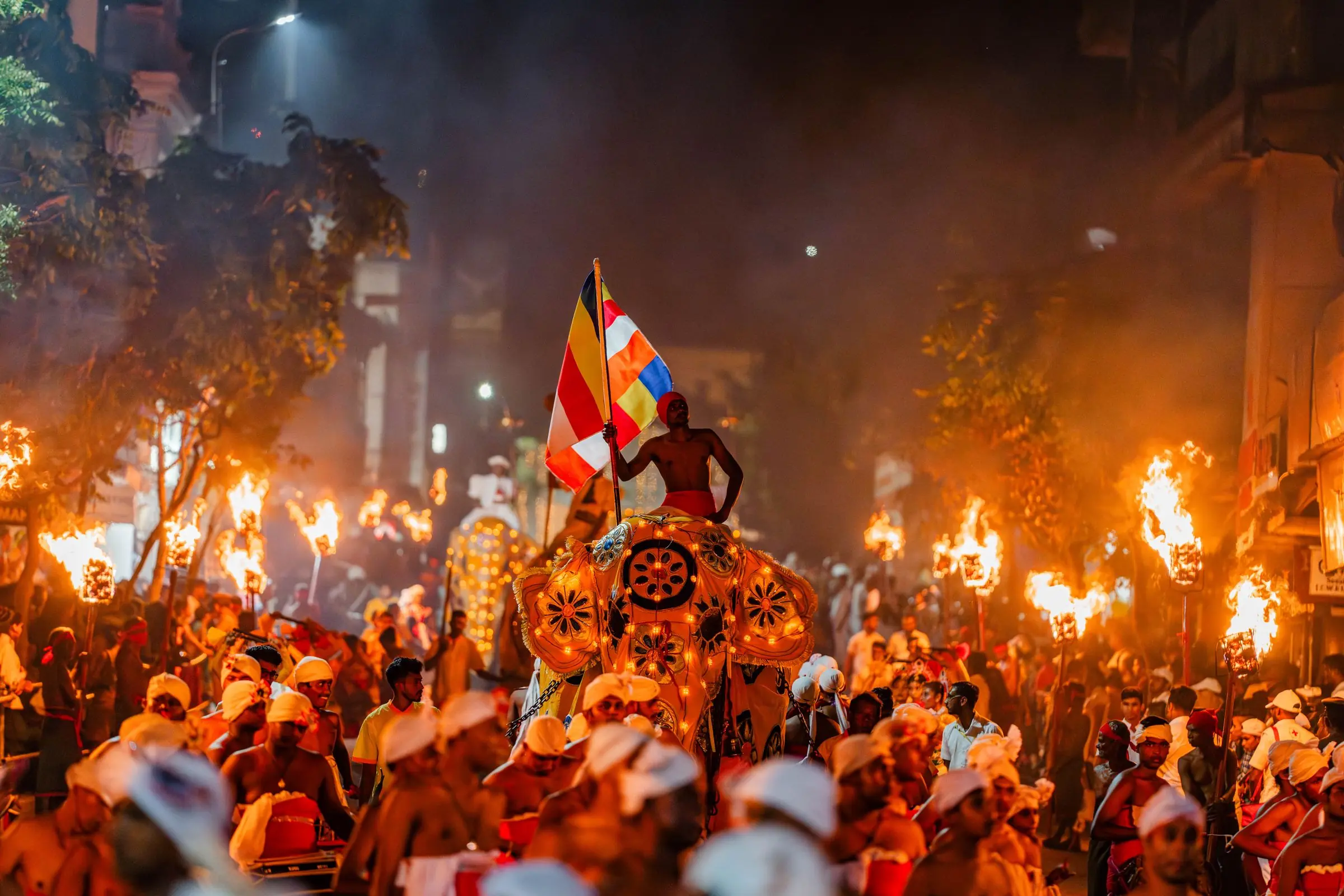 sri lanka kandy esala perahera elephant | Galerie Reisen