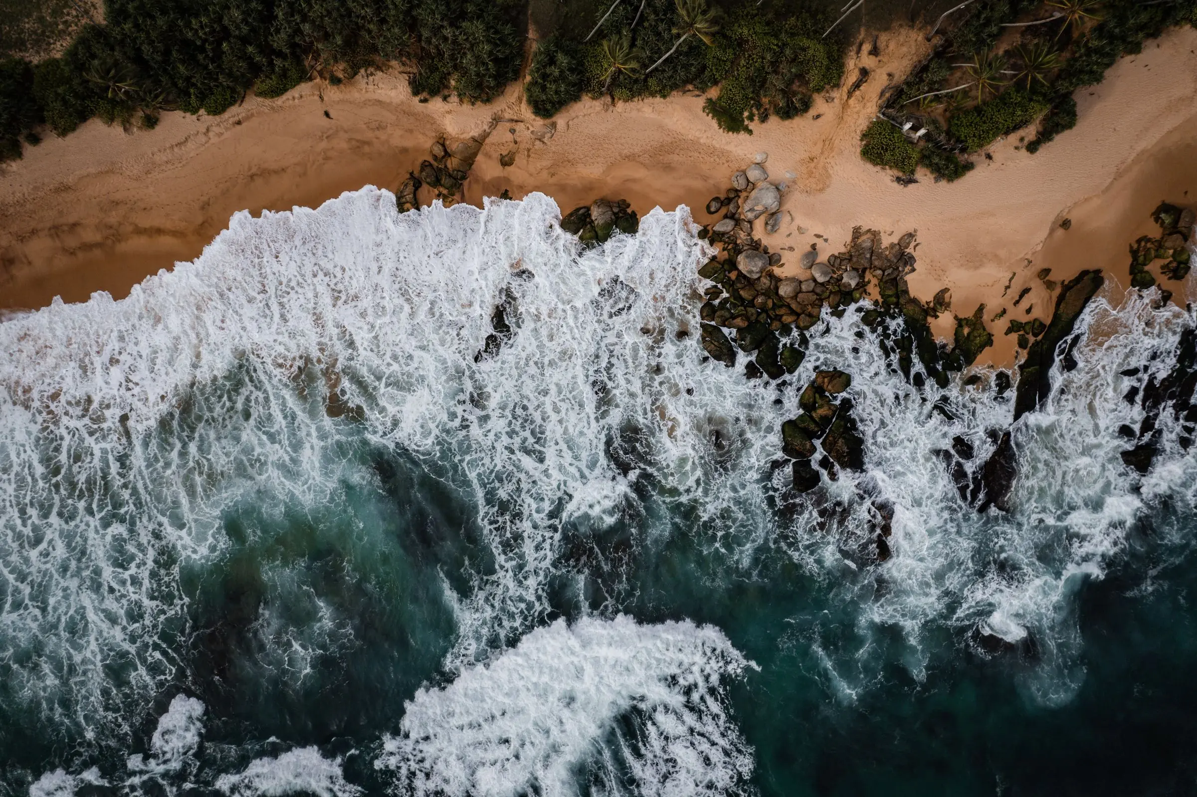 sri lanka ocean beach jungle | Galerie Reisen