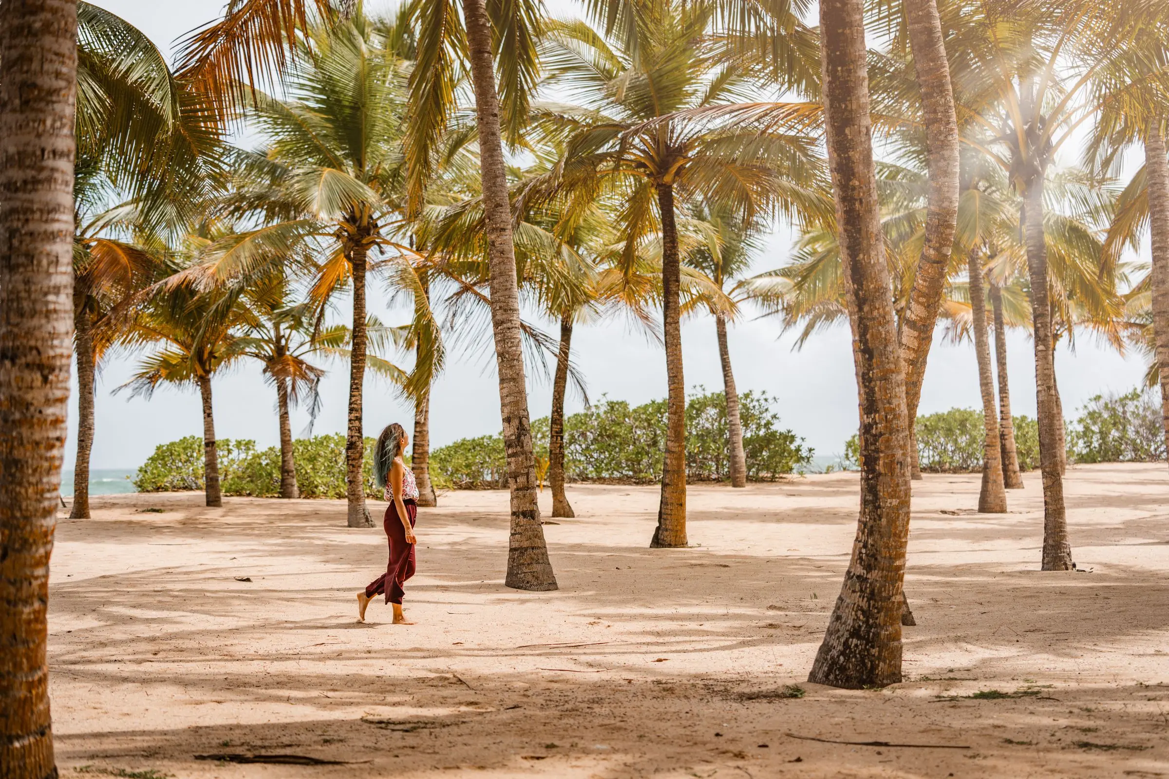 sri lanka ocean coconut trees | Galerie Reisen
