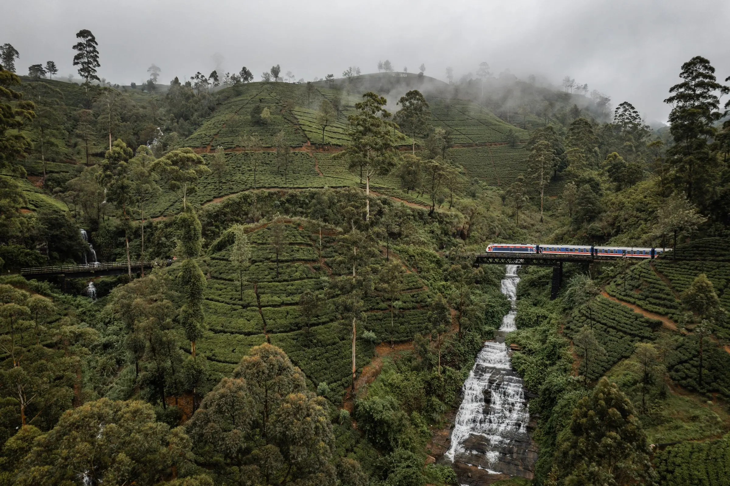 sri lanka tea plantage train | Galerie Reisen