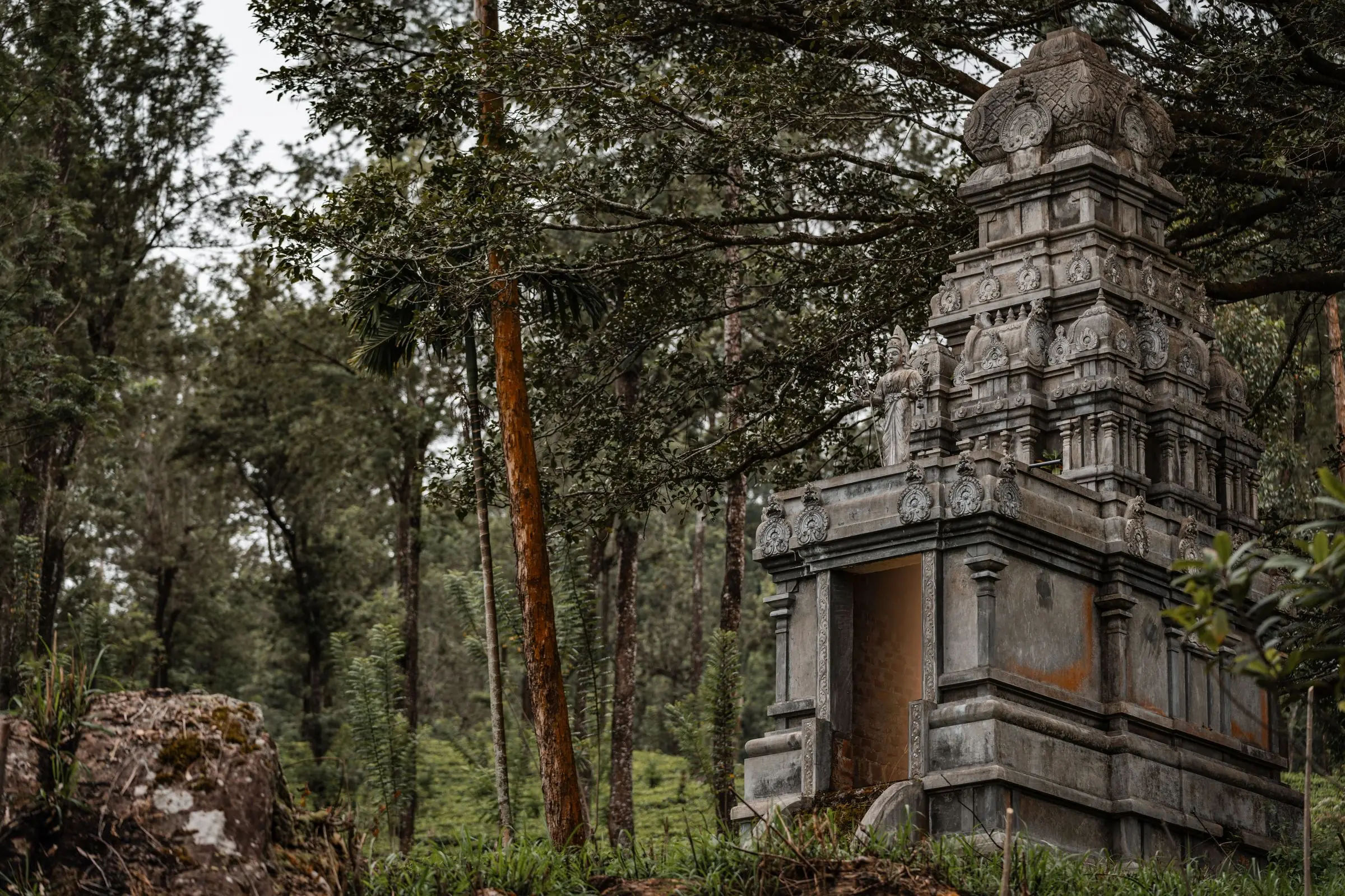 sri lanka tempel forrest old | Galerie Reisen
