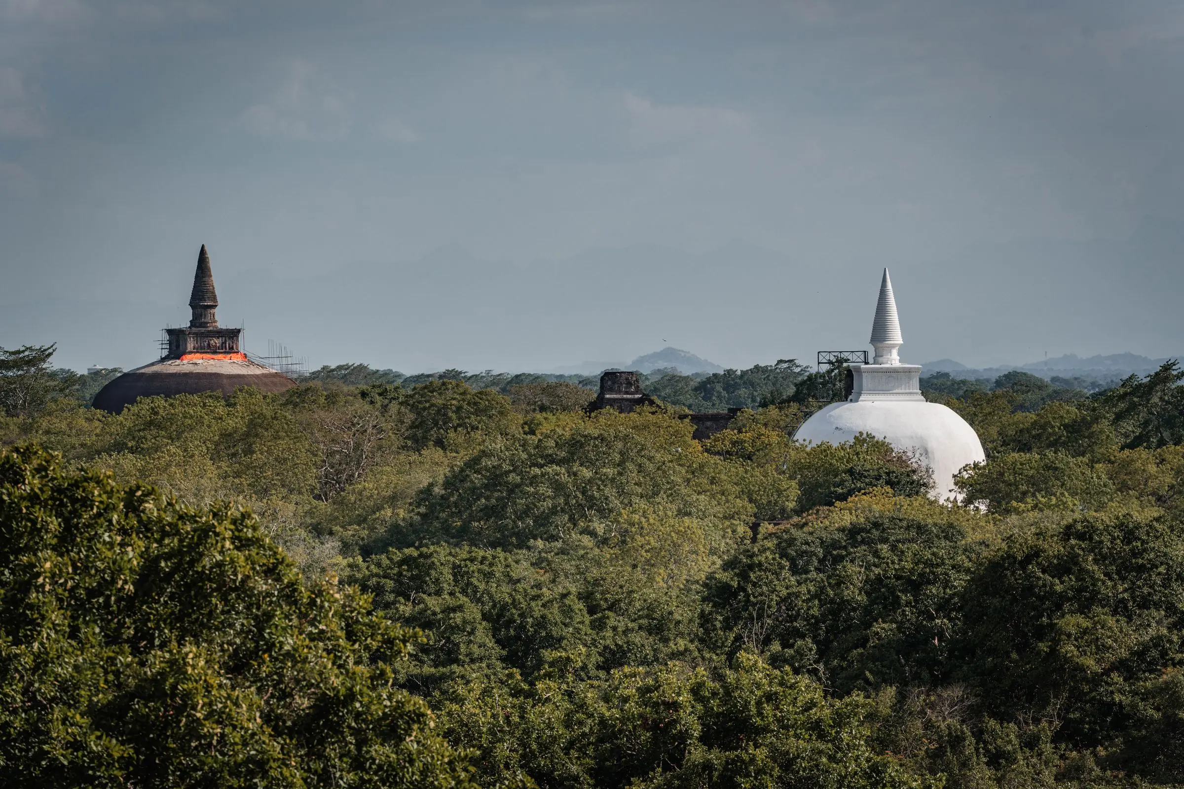 sri lanka tempel forrest | Galerie Reisen