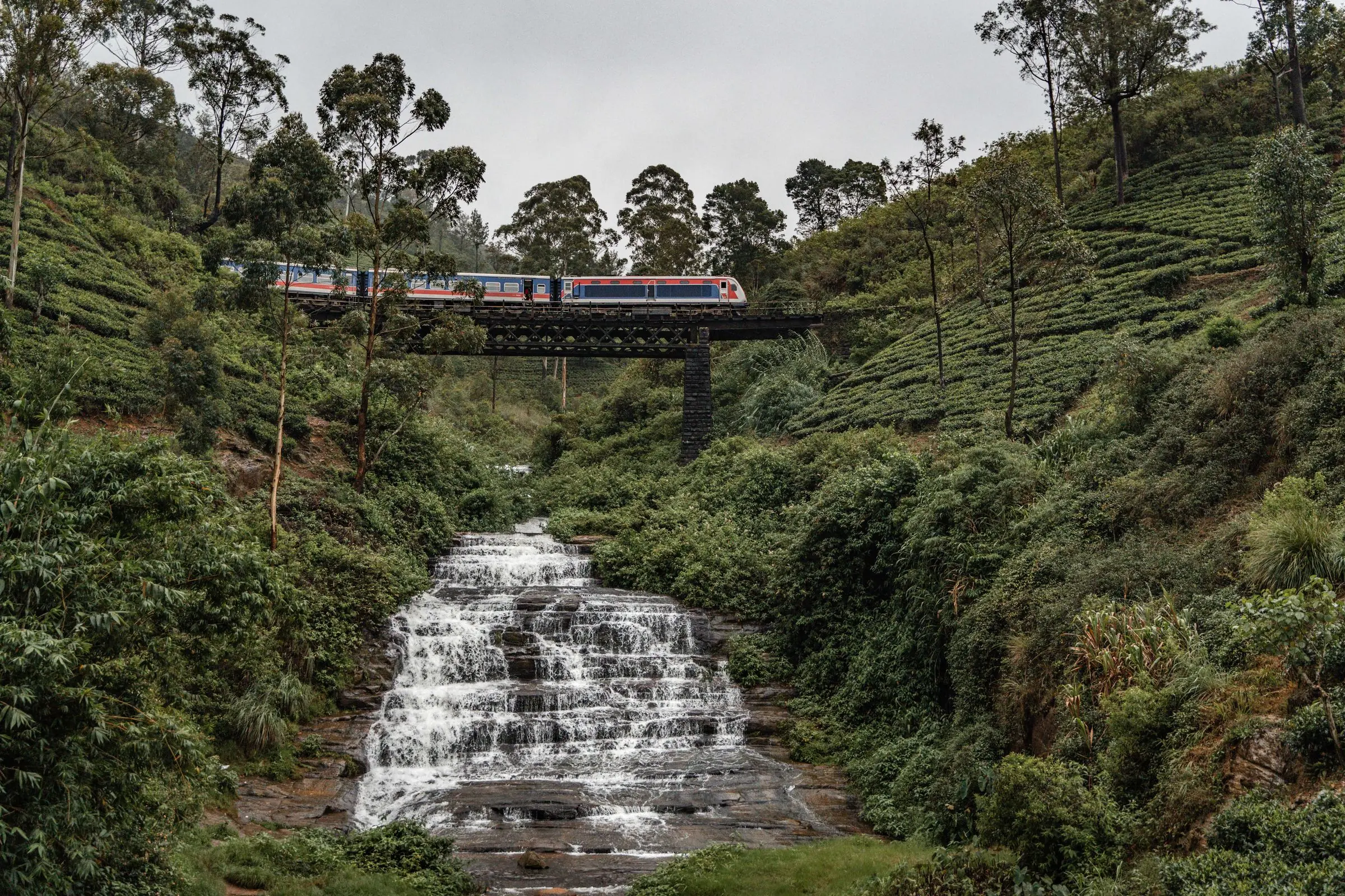 sri lanka train bridge tea plantage | Galerie Reisen